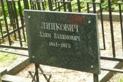 Липкович Хаим Нахимович, Москва, Востряковское кладбище